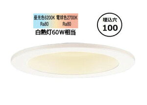 �p�i�\�j�b�N �_�E�����C�g 60�`���� �V���N�����F W LGD1100LU1 �H���K�v