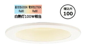 �p�i�\�j�b�N �_�E�����C�g 100�`���� �V���N�����F W LGD3100LU1 �H���K�v