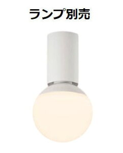 �p�i�\�j�b�N �d�����^�V�[�����O���C�g (�����v�ʔ�) NNN53800 �H���K�v