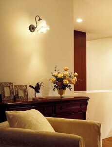 �p�i�\�j�b�N �u���P�b�g LGB81524F �H���K�v