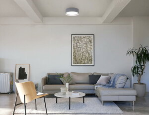 �p�i�\�j�b�N �V�[�����O���C�g LGC31184 �������F �y�k�C���E���k�E��B�����ʓr�z