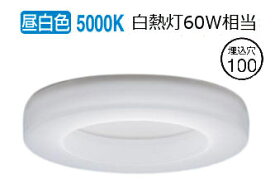 パナソニック ダウンライト XAD1122NKCE1(LGD9102K+LLD2020NCE1) 工事必要