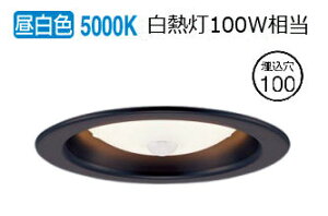 �p�i�\�j�b�N �_�E�����C�g XAD3101NCS1(LGD9101K+LLD4000NCS1) �H���K�v FreePa(ON/OFF�^)
