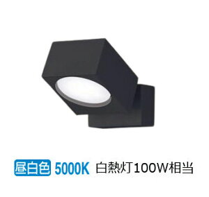 �p�i�\�j�b�N �����p�X�|�b�g���C�g XAS3011NCE1(LGS9001+LLD4000MNCE1) �H���K�v