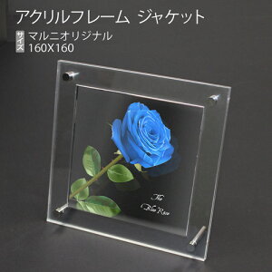 ANt[@CDWPbg(}jIWi)@X^hǊ|ǂłOK