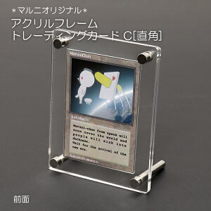 ANt[@g[fBOJ[ht[@C[p](}jIWi)@X^hǊ|ǂłOK