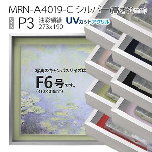 ʊz@MRN-A4019-C@Vo[i50mmj@P3 (273×190)@13mmlWt iUVJbgANdlEA~EGpzELoXpt[j