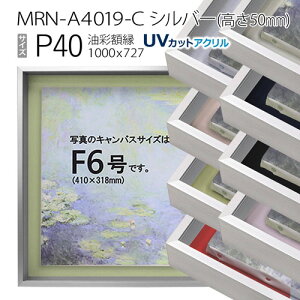 ʊz@MRN-A4019-C@Vo[i50mmj@P40 (1000×727)@13mmlWt iUVJbgANdlEA~EGpzELoXpt[j