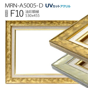 ���ʊz���@MRN-A5005-D�@F10 ��(530×455)�@�iUV�J�b�g�A�N�����d�l�@�ؐ��@���G�p�z���@�L�����o�X�p�t���[���j