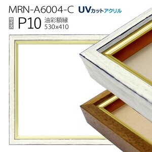 ʊz@MRN-A6004-C@P10 (530×410)@iUVJbgANdl@ؐ@Gpz@LoXpt[j