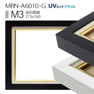 ���ʊz���@MRN-A6010-G�@M3 ��(273×160)�@�iUV�J�b�g�A�N�����d�l�@�ؐ��@���G�p�z���@�L�����o�X�p�t���[���j