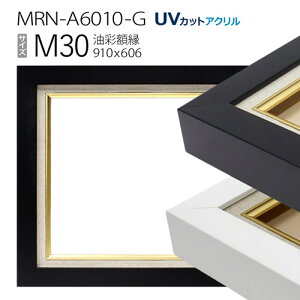 ���ʊz���@MRN-A6010-G�@M30 ��(910×606)�@�iUV�J�b�g�A�N�����d�l�@�ؐ��@���G�p�z���@�L�����o�X�p�t���[���j