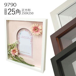 `z:9790 25p(250×250mm) iANdlEؐEʉpt[j