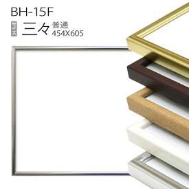 デッサン額縁：BH-15F 三三(454X605mm) アルミ製