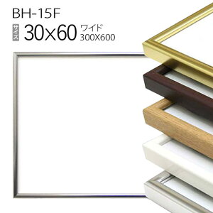 Chz:BH-15F ` t[ 30×60(300×600mm) A~