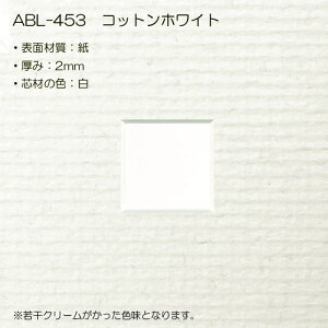 }bgTYPE5[ʋ^Cv]@Si505×660mm,507×659mm,509×660mmj