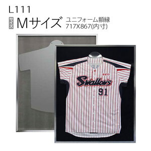jtH[z:L111(MTCY)(P111)