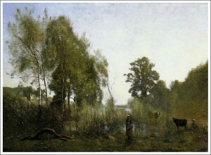 ` G  ͎ J~[ER[uBE_[̒rv F20(72.7×60.6cm)TCY zt 