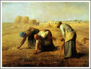 ` G ͎  t\E~[uEv F15(65.2×53.0cm)TCY v[g Mtg 蕨  I[_[Ch zt