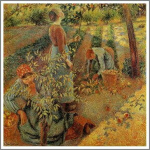 ` G  ͎ J~[EsTuSv F20(72.7×60.6cm)TCY zt 