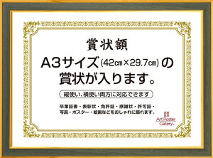 ܏ z A3 TCY  O[ F  c tHgt[ Ǌ| ؖڕ ʐ^ ʐ^ |X^[t[