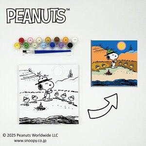 yXk[s[zr[OXJEg@PEANUT ʂ肦LoXiPaint By Numberj hĊyAĊAȂ̃A[gi@yʂȂ̂ŉsЂƂłɏ܂@ʂ