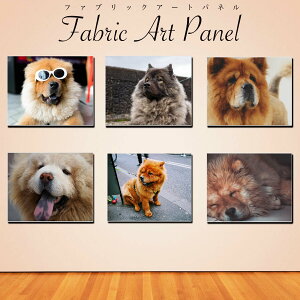 `E`E  dog fUC A[g LoX pl CeA G 18×14 27×22 41×32cm _ G G i  EH[A[g z Ǐ _ k G  G Mtg v