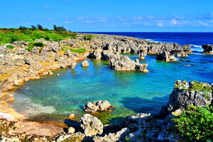 iʐ^|X^[ iǕ EWWl 03 CeA ʐ^ v[g Mtg j  Vz oY a w  l AE LO Nj JX J Okrb-02-A