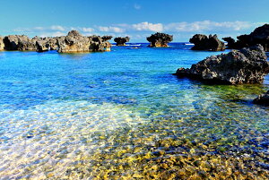 iʐ^|X^[ iǕ EWWl 07 CeA A[g|X^[ ʐ^ OtBbN EH[fR ͗lւ ͋C  rO _CjO ItBX z[ Okrb-06-A