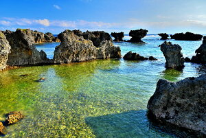 iʐ^|X^[ iǕ EWWl 08 CeA A[g|X^[ ʐ^ OtBbN EH[fR ͗lւ ͋C  rO _CjO ItBX z[ Okrb-07-A