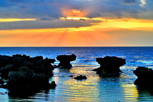 iʐ^pl iǕ EWWl ̏o 09 A[gpl OtBbNA[g EH[fR ₵  CeA Ǐ Ǌ| zv炸 ͗lւ ͋C  rO I