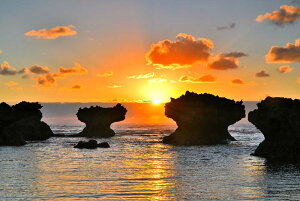 iʐ^pl iǕ EWWl ̏o 10 A[gpl OtBbNA[g EH[fR ₵  CeA Ǐ Ǌ| zv炸 ͗lւ ͋C  rO I