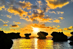 iʐ^|X^[ iǕ EWWl ̏o 15 CeA OtBbN EH[fR ͗lւ ͋C  rO _CjO ItBX z[ Okrb-16-A