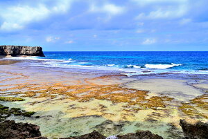 iʐ^pl iǕ t[` (A) 01 A[gpl CeA Ǐ Ǌ| zv炸 ͗lւ ͋C  rO ItBX r[ v[g Mtg i ԗ 