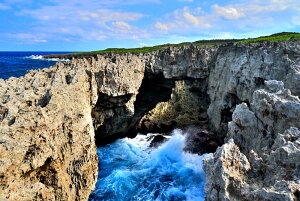 iʐ^pl iǕ t[` (A) 14 厩R  ₵  EH[fR A[gpl fBXvC CeA Ǐ Ǌ| zv炸 ͗lւ ͋C 