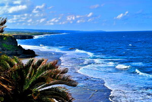 iʐ^|X^[ iǕ t[` (A) 22 A[g|X^[ OtBbN CeA EH[fR ͗lւ ͋C  ItBX rO _CjO  Okrb-39-A