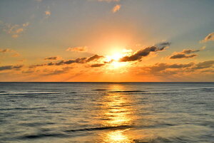 iʐ^|X^[ iǕ qC [ 03 CeA A[g|X^[ ʐ^ |X^[ v[g Mtg j  V oY a w  l AE JX J LO Okrb-43-A