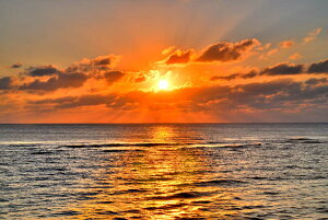 iʐ^|X^[ iǕ qC [ 04 CeA A[g|X^[ ʐ^ |X^[ v[g Mtg j  V oY a w  l AE JX J LO Okrb-44-A