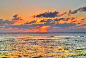 iʐ^|X^[ iǕ qC [ 06 CeA A[g|X^[ ʐ^ |X^[ v[g Mtg j  V oY a w  l AE JX J LO Okrb-45-A