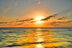 iʐ^|X^[ iǕ qC [ 09 CeA A[g|X^[ ʐ^ |X^[ v[g Mtg j  V oY a w  l AE JX J LO Okrb-47-A