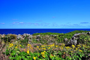 iʐ^pl iǕ cFi݂Ȃ݂jcuL 10 {^jJ A[gpl OtBbNA[g EH[fR CeA ₵  _ Ǐ Ǌ| zv炸 