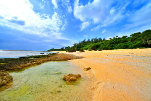 iʐ^pl V NW 03 A[gpl OtBbNA[g EH[fR ₵  _ CeA v[g Mtg j j Vzj zj aj