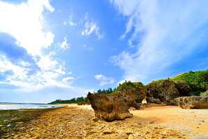 iʐ^pl V NW 05 CeA A[gpl OtBbN fBXvC EH[fR v[g Mtg i ԗ j  Vz z a LO Nj 