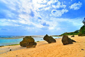 iʐ^|X^[ V NW 06 CeA v[g Mtg j JX J  Vz oY a w  l AE LO Tkns-03-A