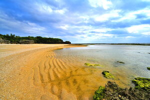 iʐ^pl V Vfl 02 A[gpl OtBbNA[g EH[fR ₵  _ CeA Ǐ Ǌ| zv炸 ͗lւ ͋C  rO ItB