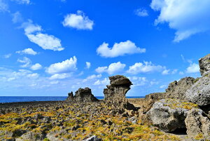 iʐ^pl V ݂ǂ΂鉖c 17 厩R  ₵  EH[fR A[gpl fBXvC CeA Ǐ Ǌ| zv炸 ͗lւ ͋C  r