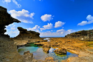 iʐ^pl V ݂ǂ΂鉖c 19 A[gpl CeA Ǐ Ǌ| zv炸 ͗lւ ͋C  rO ItBX r[ v[g Mtg i ԗ j 