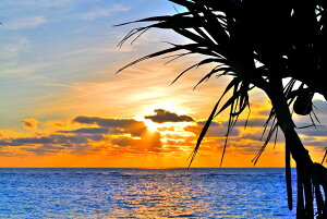 iʐ^|X^[ V ^ԃr[` 03 CeA A[g|X^[ OtBbN EH[fR Ǐ Ǌ| ͋C ͗lւ  rO ItBX  Tkns-21-A