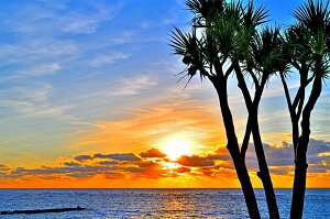 iʐ^pl V ^ԃr[` 05 A[gpl EH[fR fBXvC CeA v[g Mtg j j Vzj zj aj LO ̎vo 