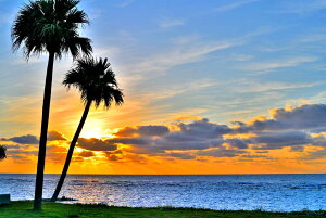 iʐ^|X^[ V ^ԃr[` 06 CeA A[g|X^[ OtBbN EH[fR Ǐ Ǌ| ͋C ͗lւ  rO ItBX  Tkns-24-A